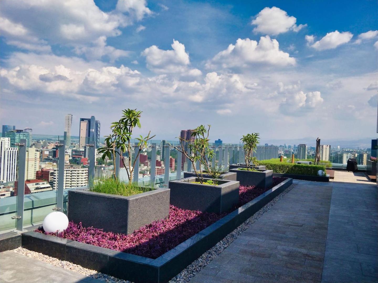 Luxurious High-Rise Hs Wifi, Amazing City Views Мексико Сити Екстериор снимка