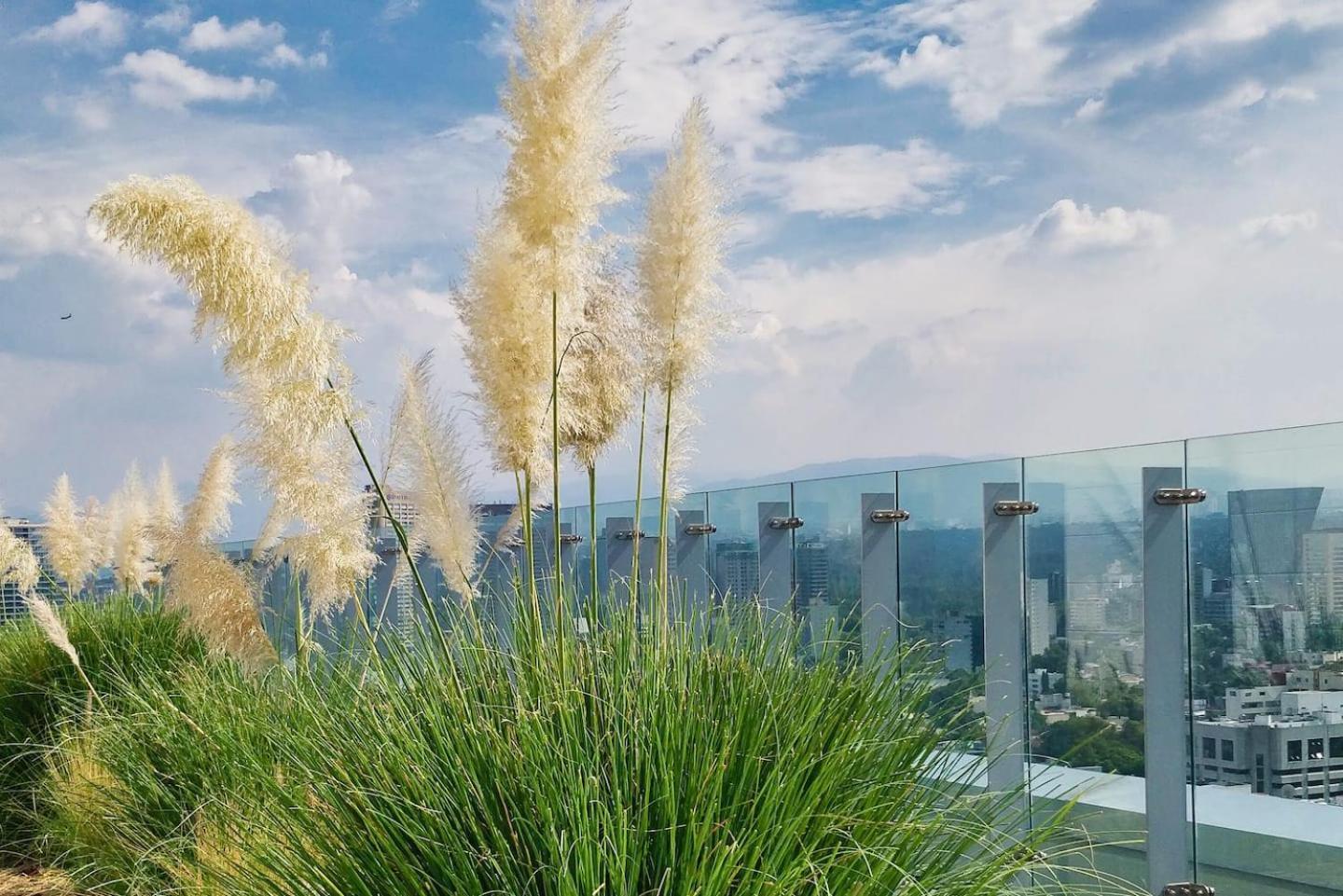 Luxurious High-Rise Hs Wifi, Amazing City Views Мексико Сити Екстериор снимка